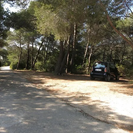 Triporte Vela Luka