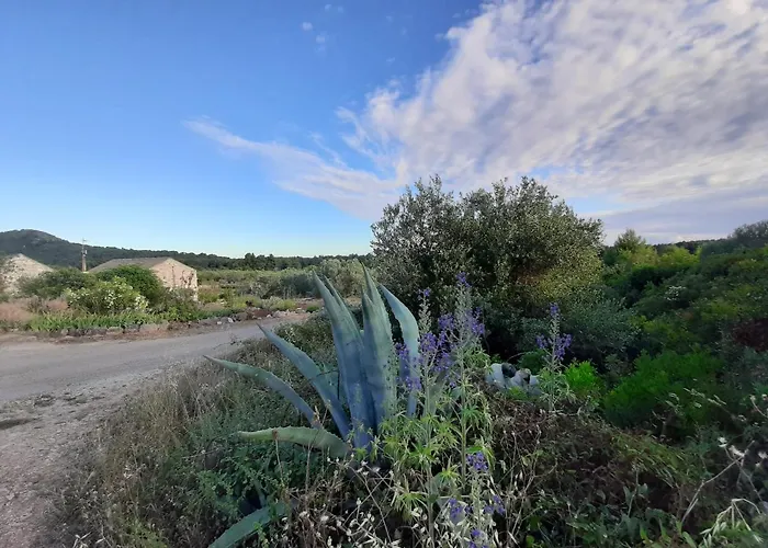 Triporte Apartman Vela Luka