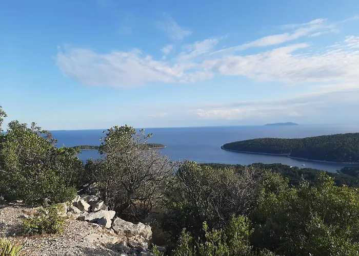 Triporte Vela Luka