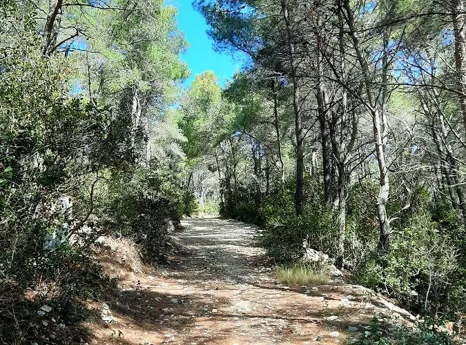 Apartman Triporte Vela Luka