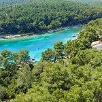 Triporte Vela Luka