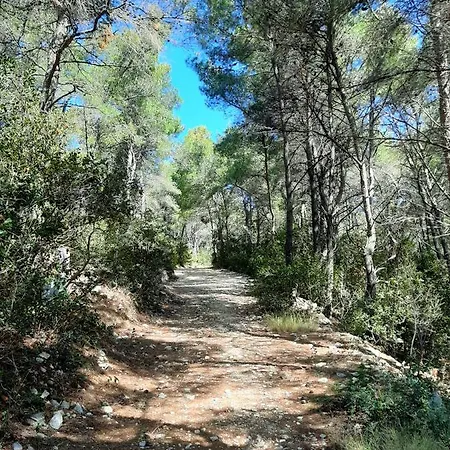Appartement Triporte Vela Luka