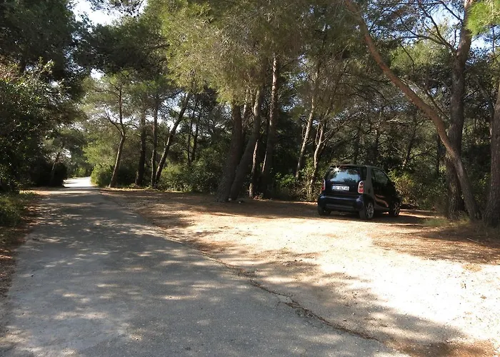 Triporte Vela Luka