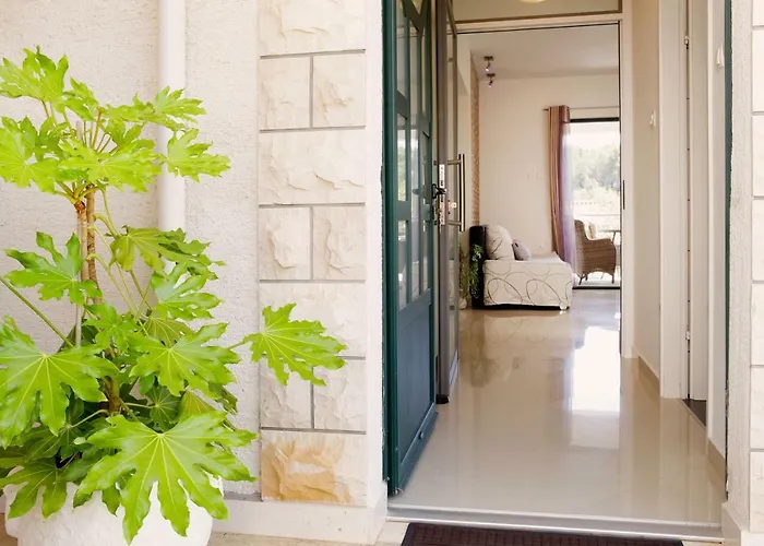 Triporte 벨라루카