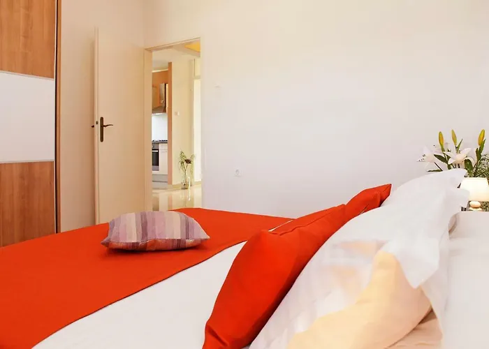 Triporte 벨라루카