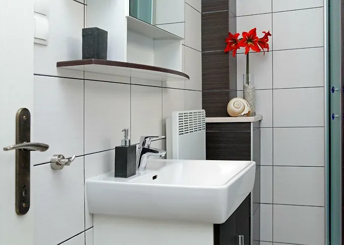 Triporte * 벨라루카